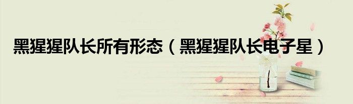 黑猩猩隊(duì)長(zhǎng)所有形態(tài)（黑猩猩隊(duì)長(zhǎng)電子星）