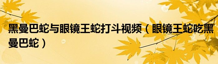 黑曼巴蛇與眼鏡王蛇打斗視頻（眼鏡王蛇吃黑曼巴蛇）