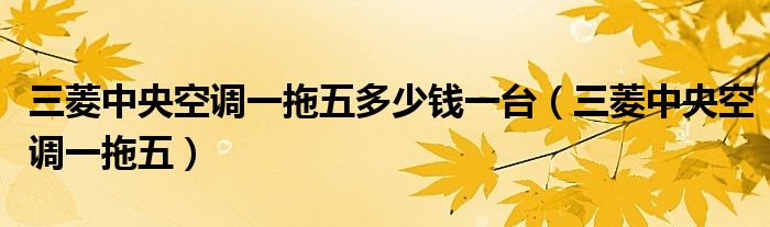 三菱中央空調(diào)一拖五多少錢(qián)一臺(tái)（三菱中央空調(diào)一拖五）