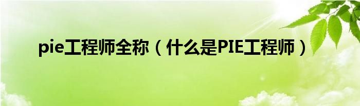 pie工程師全稱（什么是PIE工程師）