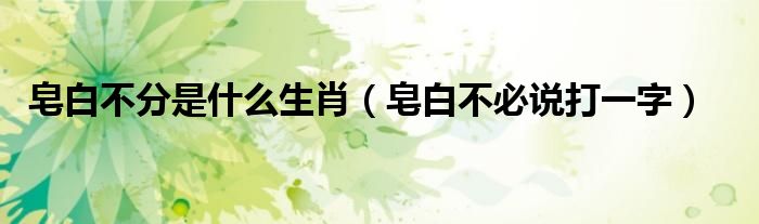 皂白不分是什么生肖（皂白不必說打一字）