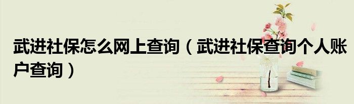 武進(jìn)社保怎么網(wǎng)上查詢（武進(jìn)社保查詢個(gè)人賬戶查詢）