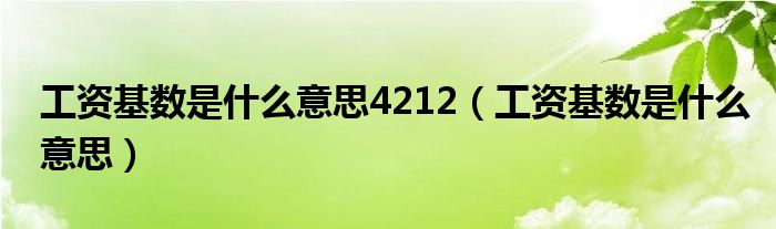 工資基數(shù)是什么意思4212（工資基數(shù)是什么意思）