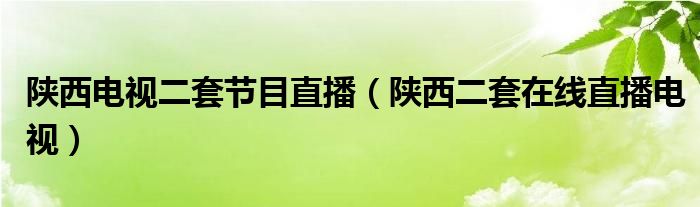陜西電視二套節(jié)目直播（陜西二套在線直播電視）