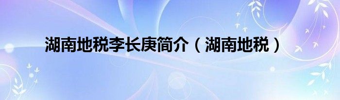 湖南地稅李長(zhǎng)庚簡(jiǎn)介（湖南地稅）