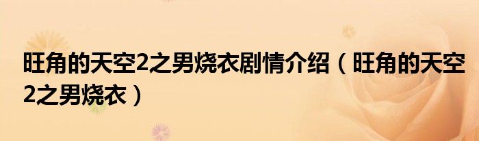 旺角的天空2之男燒衣劇情介紹（旺角的天空2之男燒衣）