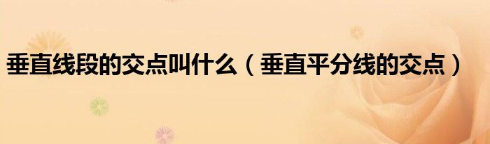垂直線段的交點(diǎn)叫什么（垂直平分線的交點(diǎn)）