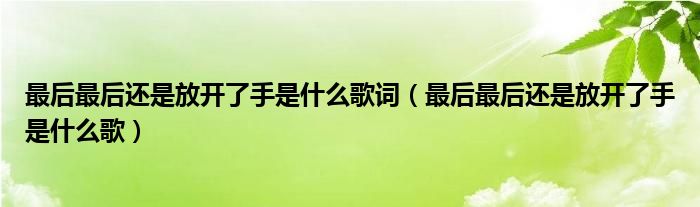 最后最后還是放開了手是什么歌詞（最后最后還是放開了手是什么歌）