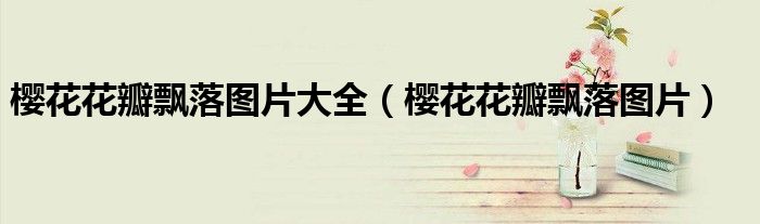 櫻花花瓣飄落圖片大全（櫻花花瓣飄落圖片）
