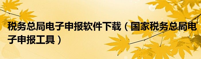 稅務(wù)總局電子申報軟件下載（國家稅務(wù)總局電子申報工具）