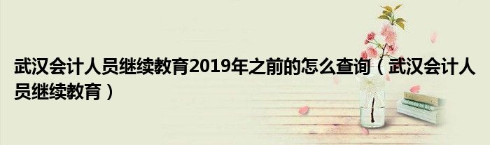 武漢會計(jì)人員繼續(xù)教育2019年之前的怎么查詢（武漢會計(jì)人員繼續(xù)教育）