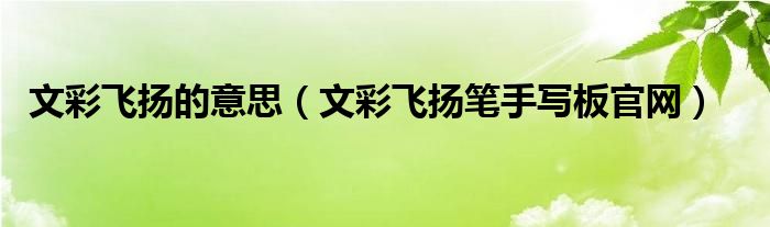 文彩飛揚的意思（文彩飛揚筆手寫板官網(wǎng)）