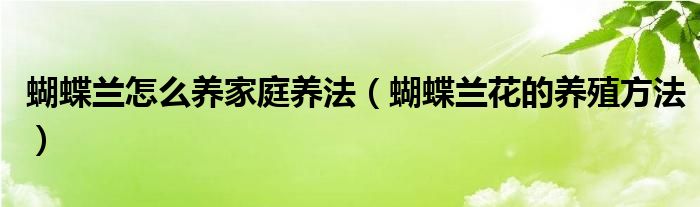 蝴蝶蘭怎么養(yǎng)家庭養(yǎng)法（蝴蝶蘭花的養(yǎng)殖方法）