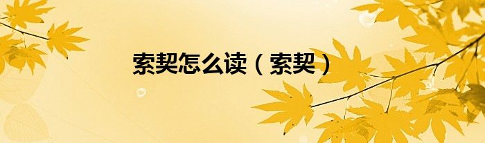 索契怎么讀（索契）