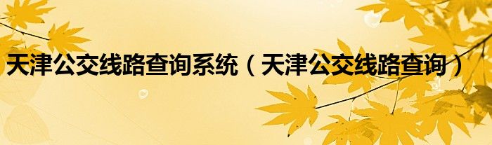 天津公交線路查詢系統(tǒng)（天津公交線路查詢）