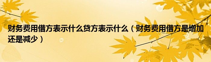 財(cái)務(wù)費(fèi)用借方表示什么貸方表示什么（財(cái)務(wù)費(fèi)用借方是增加還是減少）