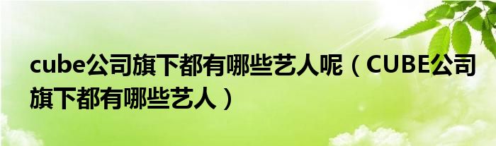cube公司旗下都有哪些藝人呢（CUBE公司旗下都有哪些藝人）