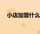 小店加盟什么好賺錢（小店加盟什么好）