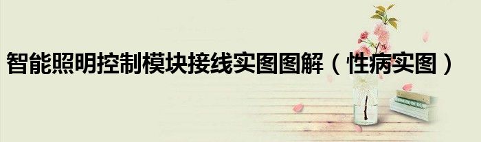 智能照明控制模塊接線實(shí)圖圖解（性病實(shí)圖）