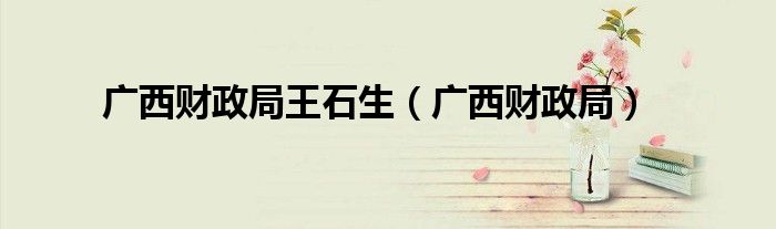 廣西財(cái)政局王石生（廣西財(cái)政局）