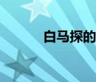 白馬探的官配（白馬探喜歡誰）