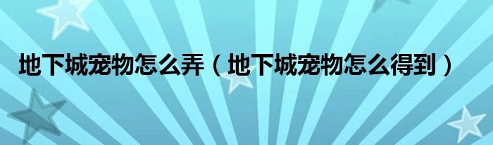 地下城寵物怎么弄（地下城寵物怎么得到）