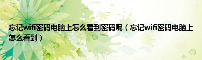 忘記wifi密碼電腦上怎么看到密碼呢（忘記wifi密碼電腦上怎么看到）