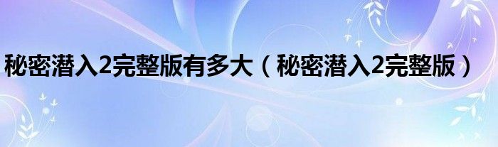 秘密潛入2完整版有多大（秘密潛入2完整版）