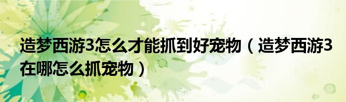 造夢西游3怎么才能抓到好寵物（造夢西游3在哪怎么抓寵物）
