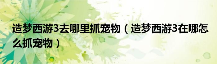 造夢西游3去哪里抓寵物（造夢西游3在哪怎么抓寵物）