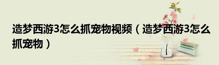 造夢西游3怎么抓寵物視頻（造夢西游3怎么抓寵物）