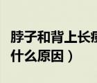 脖子和背上長痘痘是什么原因（背上長痘痘是什么原因）