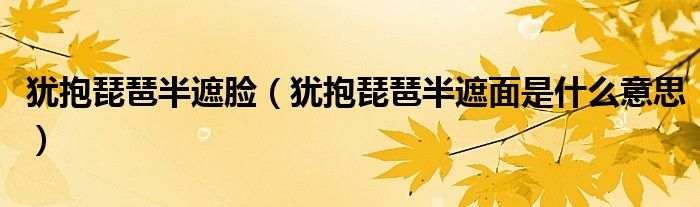 猶抱琵琶半遮臉（猶抱琵琶半遮面是什么意思）