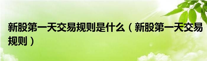 新股第一天交易規(guī)則是什么（新股第一天交易規(guī)則）