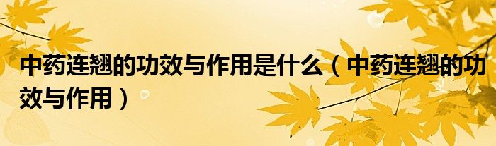 中藥連翹的功效與作用是什么（中藥連翹的功效與作用）