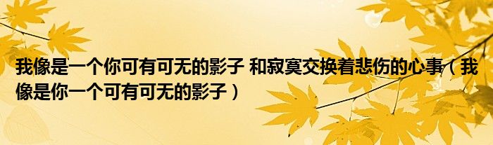 我像是一個(gè)你可有可無的影子 和寂寞交換著悲傷的心事（我像是你一個(gè)可有可無的影子）