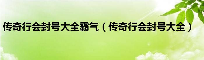 傳奇行會(huì)封號(hào)大全霸氣（傳奇行會(huì)封號(hào)大全）