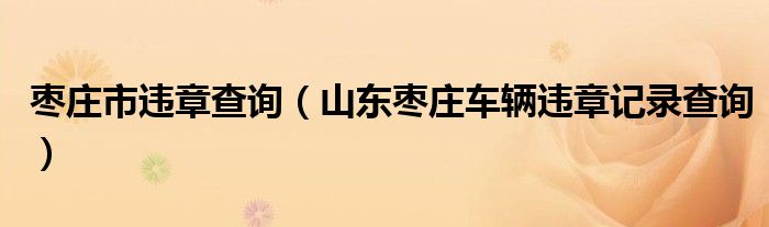 棗莊市違章查詢（山東棗莊車輛違章記錄查詢）