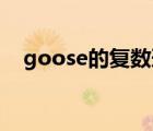goose的復(fù)數(shù)形式（mouse的復(fù)數(shù)形式）