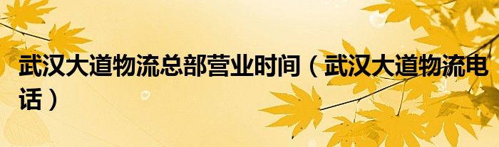 武漢大道物流總部營業(yè)時(shí)間（武漢大道物流電話）
