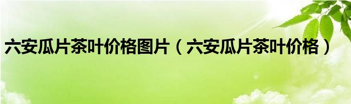 六安瓜片茶葉價(jià)格圖片（六安瓜片茶葉價(jià)格）
