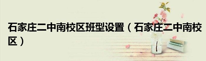 石家莊二中南校區(qū)班型設(shè)置（石家莊二中南校區(qū)）