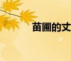 苗圃的丈夫是誰（苗圃的丈夫）