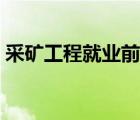 采礦工程就業(yè)前景分析（采礦工程就業(yè)前景）