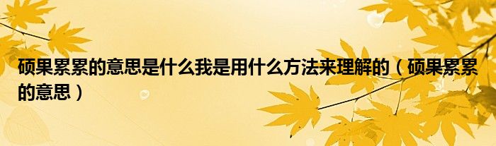碩果累累的意思是什么我是用什么方法來理解的（碩果累累的意思）