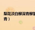梨花淡白柳深青柳絮飛時(shí)花滿城是什么季節(jié)（梨花淡白柳深青）