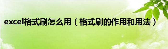 excel格式刷怎么用（格式刷的作用和用法）