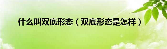 什么叫雙底形態(tài)（雙底形態(tài)是怎樣）