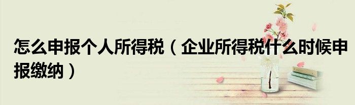 怎么申報個人所得稅（企業(yè)所得稅什么時候申報繳納）