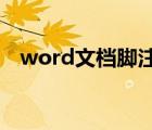 word文檔腳注怎么設置（怎么插入腳注）